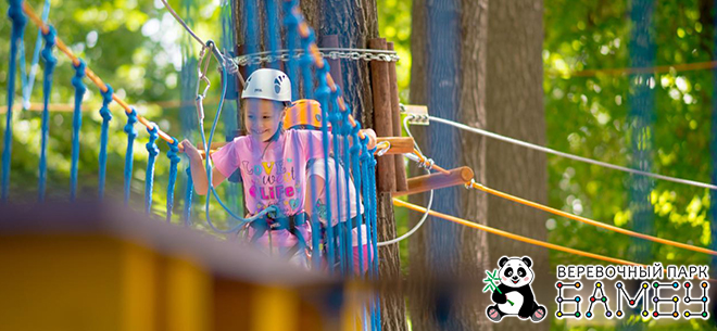 Бамбу в&nbsp;Центральном Парке имени Горького