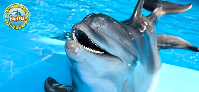 Порно фото хостинг Селена Гомес порно секс және оған қатысты барлық нәрсе