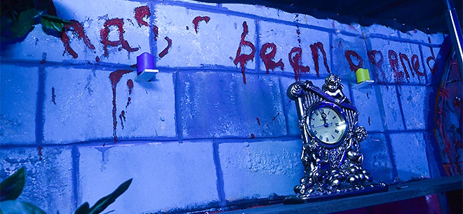 «Гарри Поттер и зловещее подземелье»