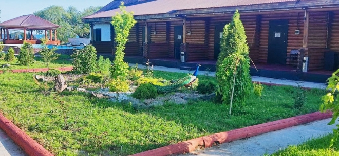 База отдыха DINASTIYA