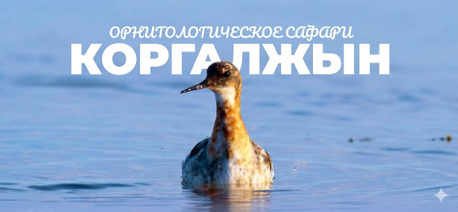 Туристическое агентство Lets See Kz Туристическое агентство Lets See Kz